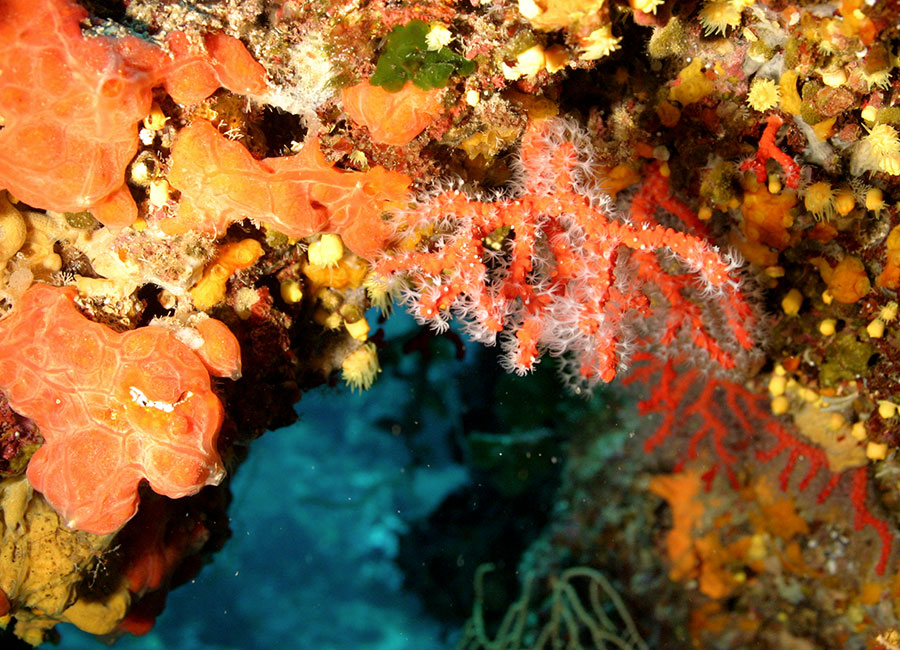 Autodemolizioni Muntoni Rolando | Autodemolizioni Olbia