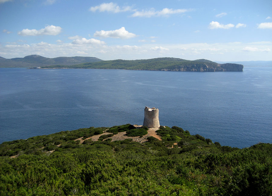 Autodemolizioni Muntoni Rolando | Autodemolizioni Olbia