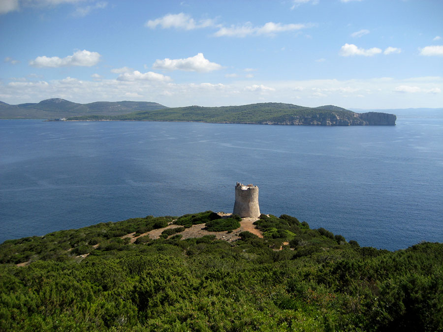 Autodemolizioni Muntoni Rolando | Autodemolizioni Olbia