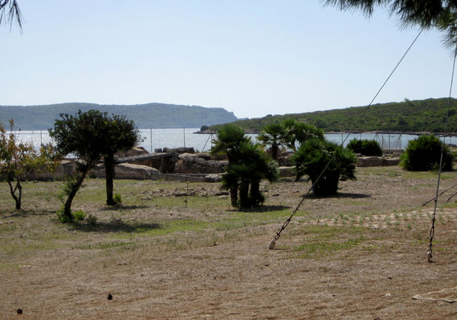 Autodemolizioni Muntoni Rolando | Autodemolizioni Olbia